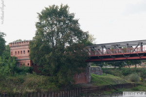 19 19